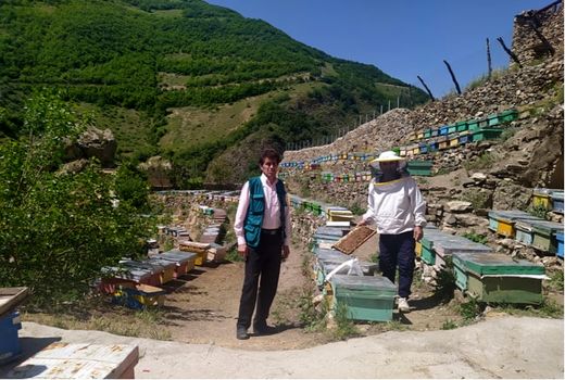 برداشت بیش از یک هزار و 422 تن عسل در شهرستان ورزقان