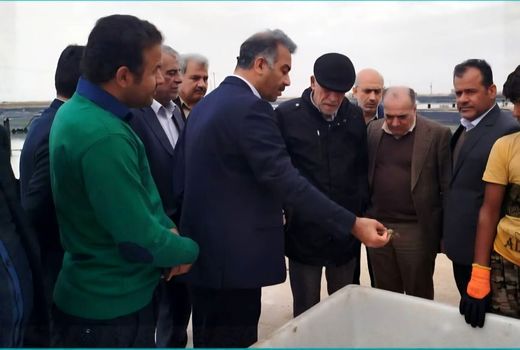 توسعه پرورش میگو، زمینه‌ساز تحقق اقتصاد دریامحور است