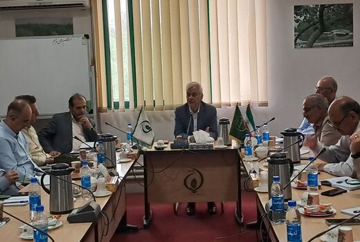 راهکارهای بلندمدت تنها راه مقابله با آفات و بیماری‌ها در جنگل‌ها و مراتع