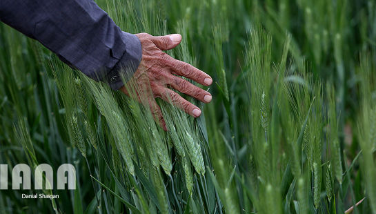 ایستگاه چندمنظوره تحقیقات کشاورزی