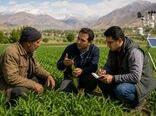 نقش و جایگاه ترویج کشاورزی در شبکه‌سازی زیست‌بوم‌های کشاورزی