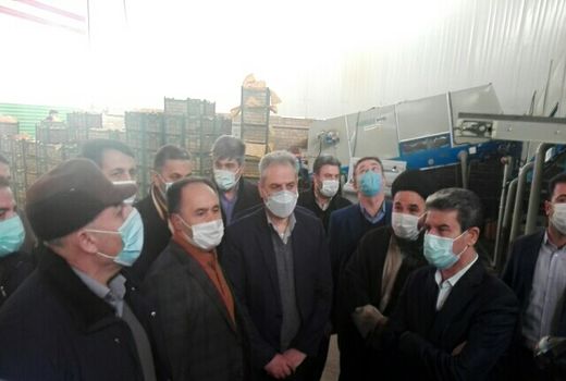 بازدید از کارخانه سورت و بسته‌بندی محصولات کشاورزی در شهرستان ارومیه