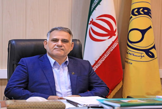 معرفی ارقام جدید گندم با مصرف ۲۵ درصد آب کمتر