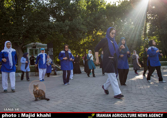 نرمش صبحگاهی