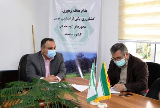 لزوم تقویت صندوق حمایت از بخش کشاورزی برای افزایش بهره وری