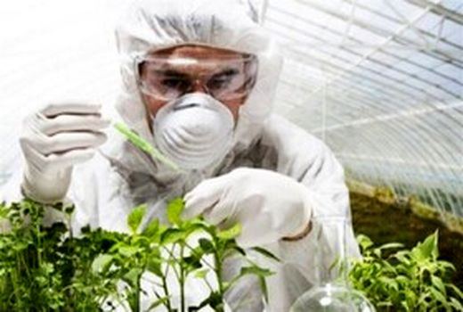 از باغات تا صادرات، سلامت محصولات هدف ما است