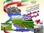 21 پروژه عمرانی و تولیدی بخش کشاورزی استان البرز در دهه مبارک فجر افتتاح می شود 