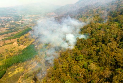 تحقیقات جدید: تلفات تنوع زیستی بیش از حد تصور است