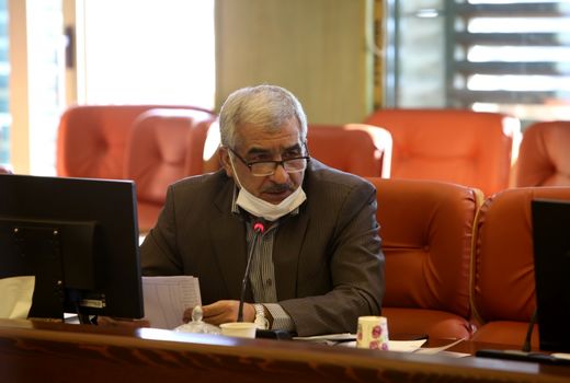 کشت گندم در 6 میلیون هکتار از مزارع کشور