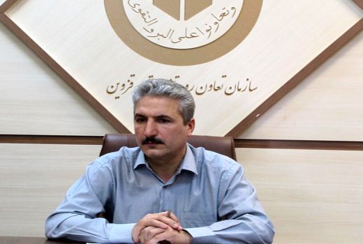 خرید تضمینی گندم در استان قزوین از اواخر خرداد ماه آغاز می شود