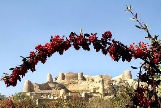 جشنواره زرشک بهانه‌ای برای معرفی شهرستان درمیان