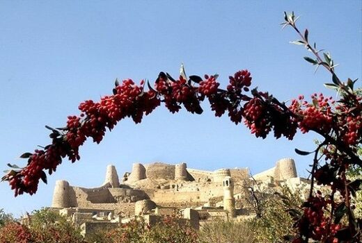 جشنواره زرشک بهانه‌ای برای معرفی شهرستان درمیان