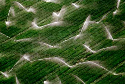 بخش تحقیقات برای مدیریت آب کشاورزی نسخه‌پیچی کند/ لزوم تسریع در فرآیند تحویل حجمی آب کشاورزی 
