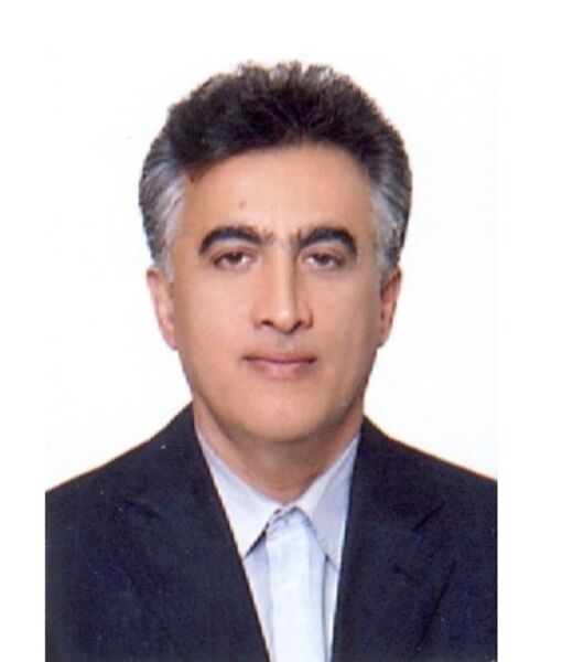 زنبورهای عسل؛ یاوران محیط‌زیست و داروسازان بالدار