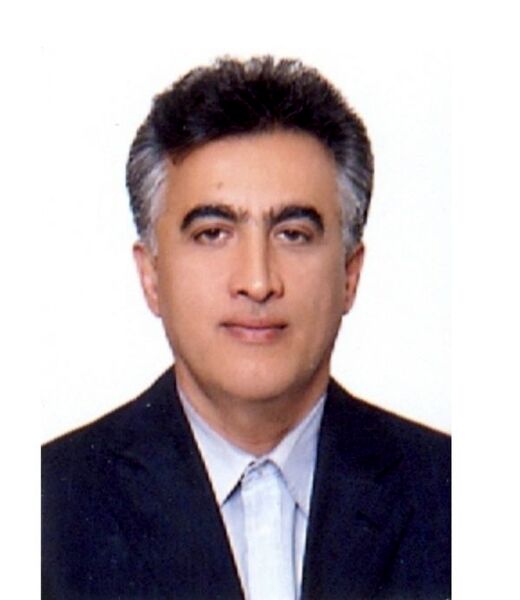 زنبورهای عسل؛ یاوران محیط‌زیست و داروسازان بالدار