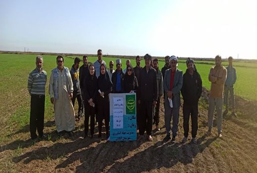 ارائه توصیه‌های پیشگیری از بیماری زنگ زرد گندم در آبادان