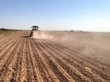 آغاز کشت پاییزه در خراسان رضوی