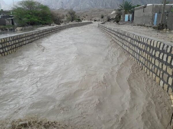 خسارت ۳۶۳ میلیاردی سیل به مزارع و باغات جنوب بوشهر