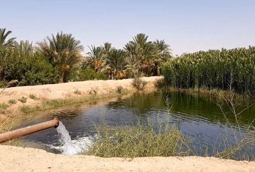 نیاز ۳۵ میلیارد ریال اعتبار برای بازسازی استخر‌های کشاورزی خوروبیابانک