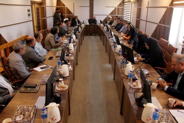 افزایش تولید خرما در گرو افزایش ظرفیت فرآوری