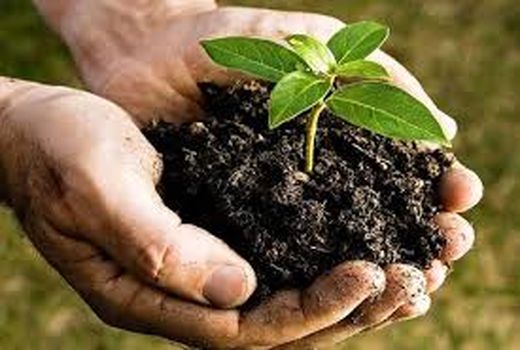 فرسایش خاک، منابع آبی را هم از بین می‌برد 