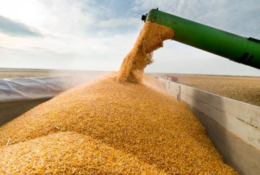 ظرفیت انبارهای نهاده در چهارمحال و بختیاری به ۱۷ هزار تن رسید