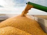 ظرفیت انبارهای نهاده در چهارمحال و بختیاری به ۱۷ هزار تن رسید