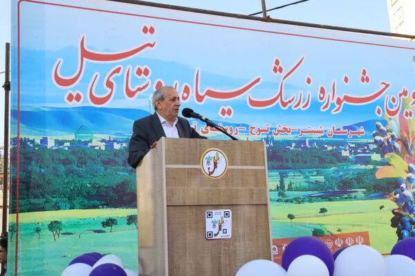 گام اساسی جهاد کشاورزی آذربایجان شرقی برای تولید انبوه زرشک سیاه با  کشت‌بافت نهال