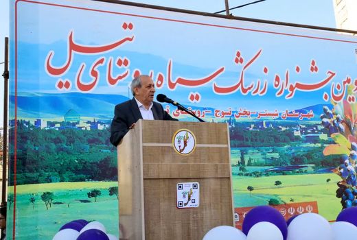 گام اساسی جهاد کشاورزی آذربایجان شرقی برای تولید انبوه زرشک سیاه با  کشت‌بافت نهال