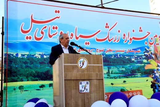 گام اساسی جهاد کشاورزی آذربایجان شرقی برای تولید انبوه زرشک سیاه با  کشت‌بافت نهال