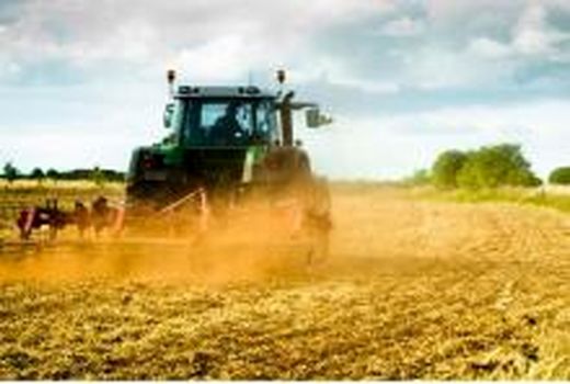 پهنه‌بندی کشت در استان بوشهر اعلام شد