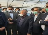 راه‌اندازی کارگروه پایش پیاز جنوب کرمان در وزارت جهاد کشاورزی