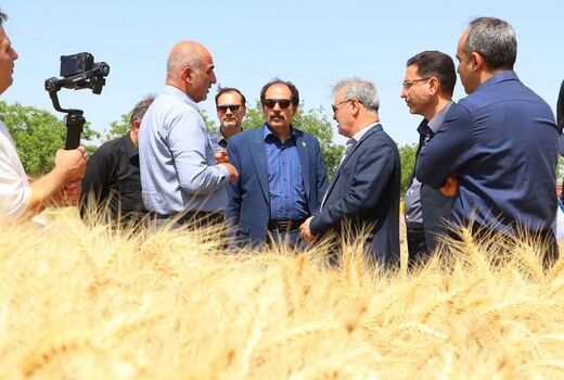 رئیس سازمان تحقیقات، آموزش و ترویج کشاورزی کشور از ظرفیت‌های پژوهشی و تولیدی بخش کشاورزی قزوین بازدید کرد