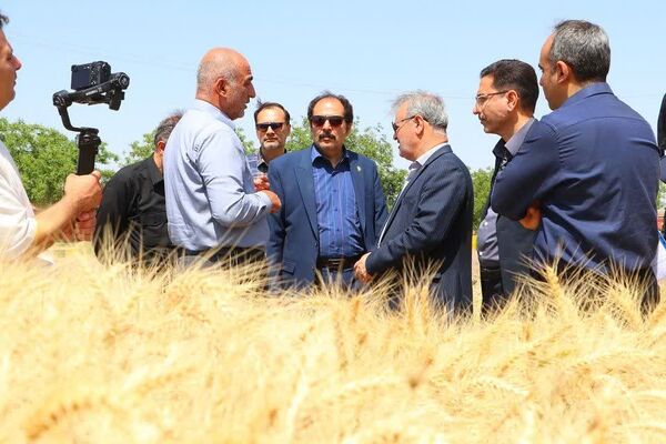 رئیس سازمان تحقیقات، آموزش و ترویج کشاورزی کشور از ظرفیت‌های پژوهشی و تولیدی بخش کشاورزی قزوین بازدید کرد