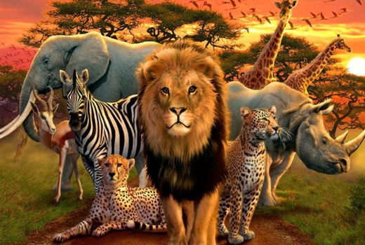 چگونه کسب و کارها می‌توانند به حفظ سیاره زمین کمک کنند؟