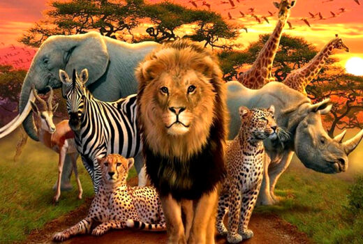 چگونه کسب و کارها می‌توانند به حفظ سیاره زمین کمک کنند؟