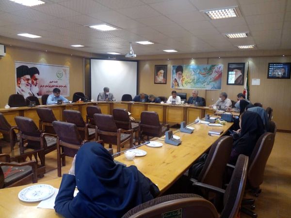 با اصلاح قیمت ها و تأمین نهاده‌ها ، تولید کم کم به جایگاه واقعی‌اش می رسد