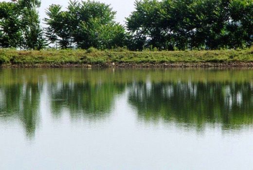 بهره برداری از پروژه های آب و خاک به مناسبت هفته جهاد کشاورزی