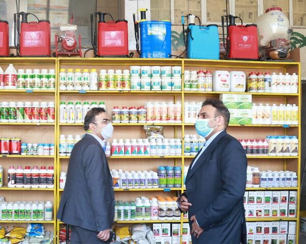 فعالیت 560 فروشگاه آفت کش نباتی مجاز در فارس