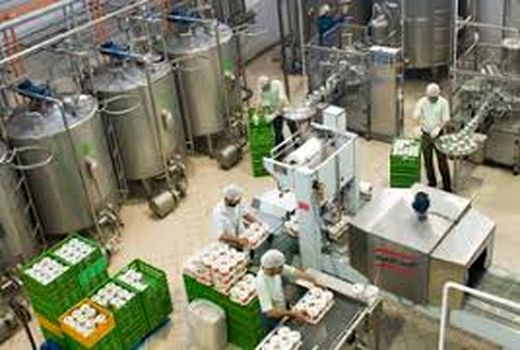 بازدید مدیر باغبانی سازمان جهاد کشاورزی خراسان شمالی از برداشت گلخانه نیم هکتاری خیار در شهرستان بجنورد