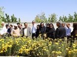 چهارمحال و بختیاری مستعد ایجاد شهرک‌های تخصصی گیاهان دارویی است