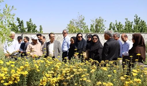چهارمحال و بختیاری مستعد ایجاد شهرک‌های تخصصی گیاهان دارویی است