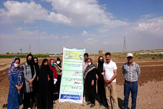 زنان روستایی شهرستان آبیک با اصول کشت زعفران در مزارع آشنا شدند