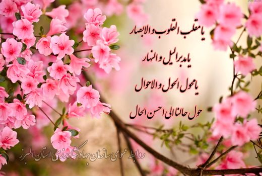 پیام تبریک سرپرست سازمان جهاد کشاورزی استان البرز به مناسبت فرا رسیدن سال 1401