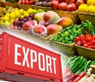 اینفوگرافیک/ 5 کشور 68 درصد محصولات کشاورزی ایران را می‌خرند