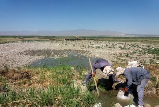 مرکز شهید کاظمی پلدشت، پیشتاز در احیای ذخایر آبزیان شمال‌غرب کشور/ 