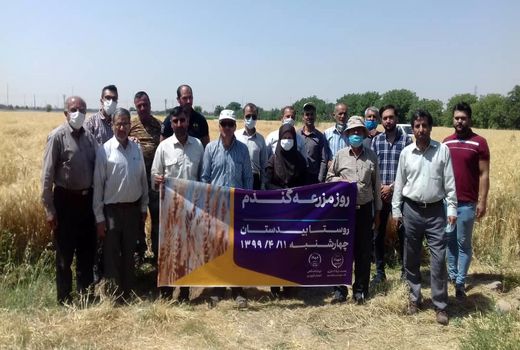 بهره برداران بخش کشاورزی شهرستان البرز با روش‌های بهینه مدیریت مزرعه آشنا شدند