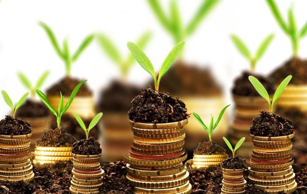 پرداخت 869 میلیارد ریال تسهیلات صندوق توسعه ملی در بخش کشاورزی استان بوشهر
