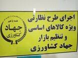وجود  کالا‌های اساسی از جمله گندم، برنج و شکر در انبارهای استان کرمان 