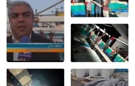 بازگشت لنج «داد محمد» به اسکله گوکسر پس از صید ۱۴۰ تن ماهی در آب‌های فراسرزمینی
